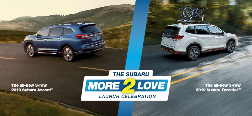 The Subaru More2Love Launch Celebration
