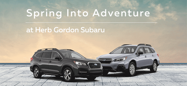 Spring into Adventure