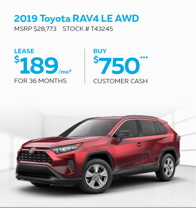 2019 Toyota RAV4 LE AWD