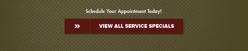 Schedule Your Service